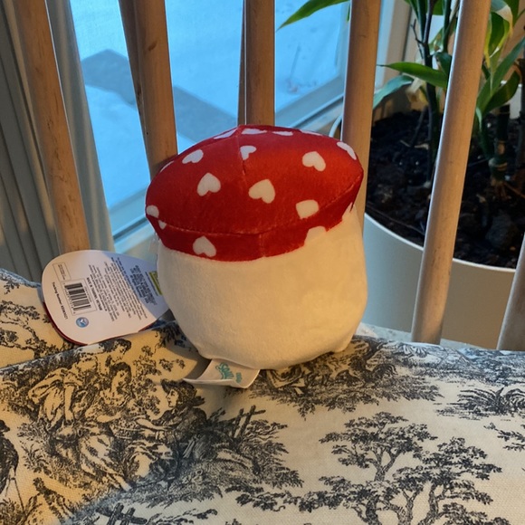 Squishmallow Malcolm the mushroom - Picture 2 of 5
